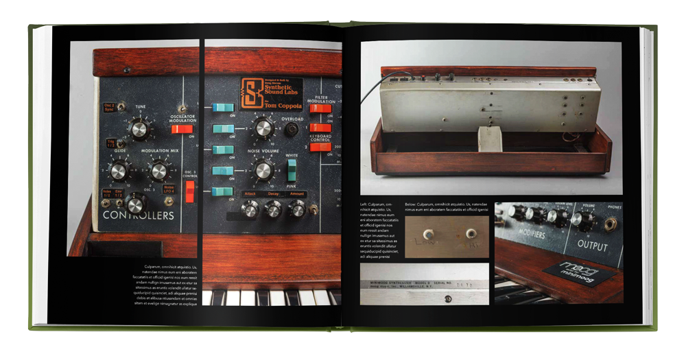 THE MINIMOOG BOOK